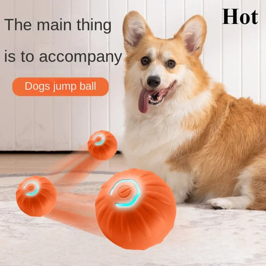 SmartyRoll: Automatic Interactive Dog Toy Ball